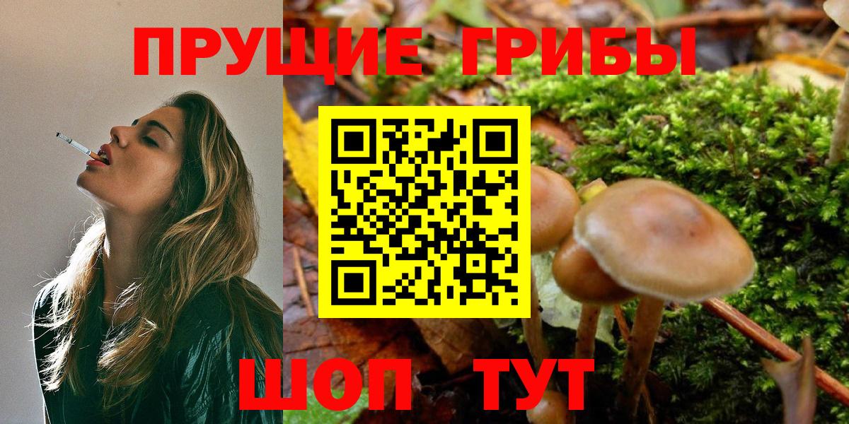 Галлюциногенные грибы мухоморы  Вход с VPN  Электрогорск 